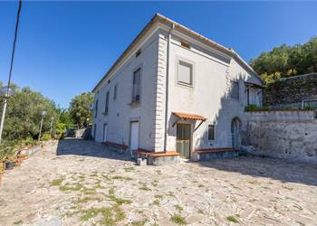 Casale in Vendita - Un Angolo di Paradiso in Collina