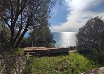 TERRENO AGRICOLO PISCIOTTA MARE